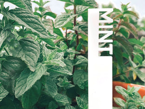 Garden Markers - Veggie/Herb/Fruit